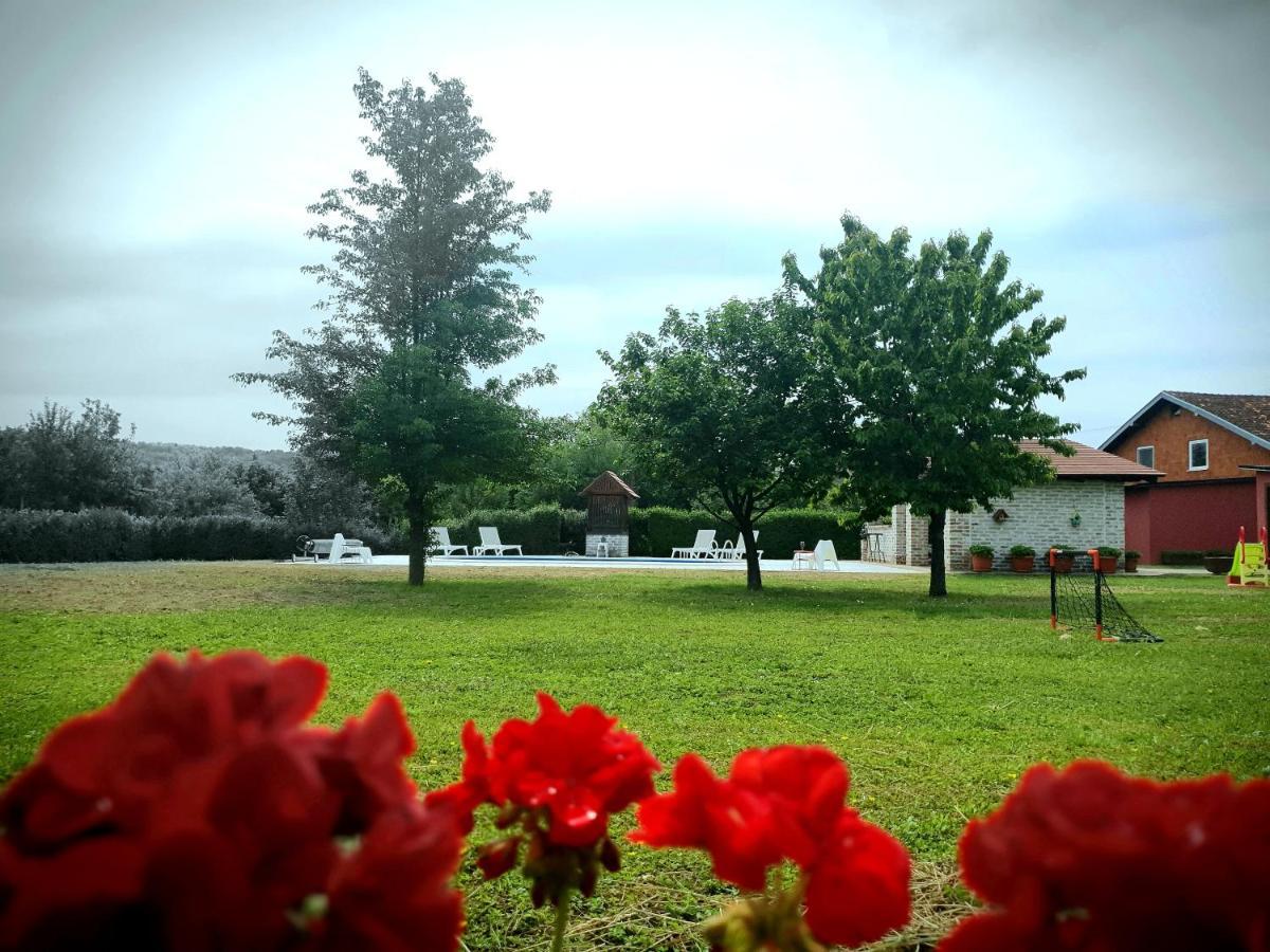 Villa Mons Aureus Popovac ภายนอก รูปภาพ