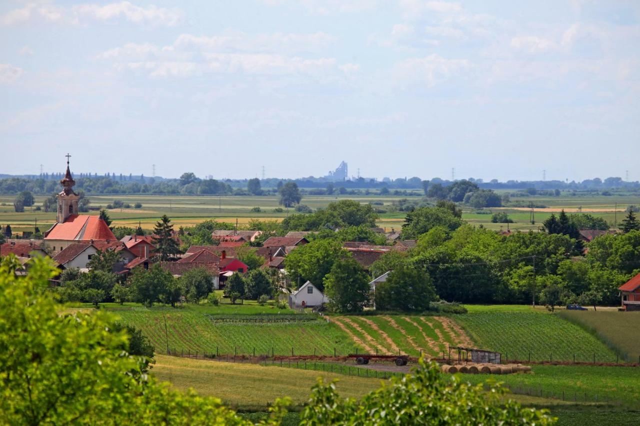 Villa Mons Aureus Popovac ภายนอก รูปภาพ